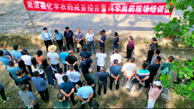 县农技中心：培训在田头  增收有盼头
