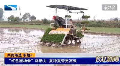 湖北台报道南漳：“红色屋场会”添助力 夏种夏管更高效