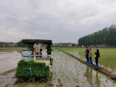 南漳：推广绿色生产新技术助推农业高质量发展