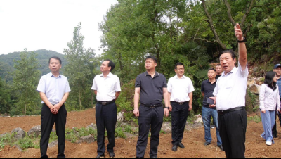 市自然资源和规划局领导到我县调研耕地保护工作