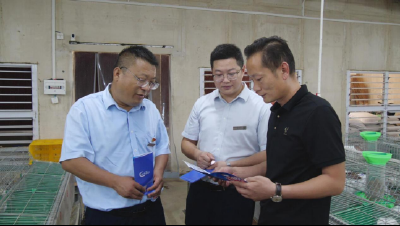 南漳：践行普惠金融  助力惠农兴商
