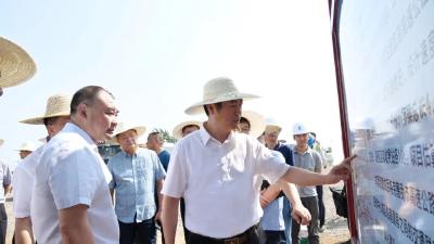 罗兴斌在调研重点项目建设时强调：坚定信心保持定力，奋力实现“满堂红”