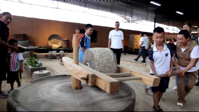 合作社升级联合社　抱团发展奔富路