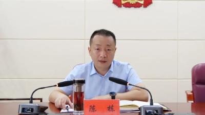 陈栋：坚决扛起生态环境保护政治责任，推动全县经济社会高质量发展