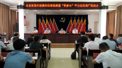 全县新型村级集体经济发展暨“鄂参与”平台应用推广现场会召开