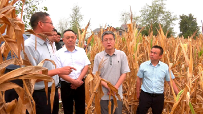 省防办工作组到我县调研指导抗旱救灾工作