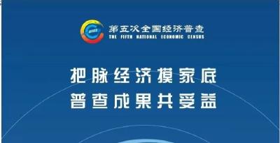 海报|第五次全国经济普查