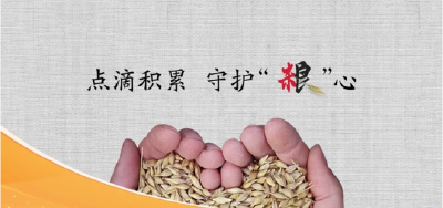 点滴积累 守护“粮”心