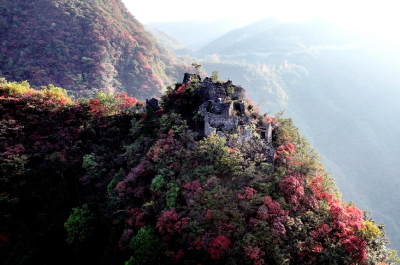 湖北南漳：层林尽染秋景美