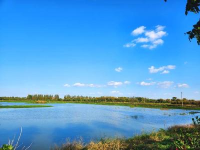 【热点关注】朱湖国家湿地公园天然碳库“颜值”爆表