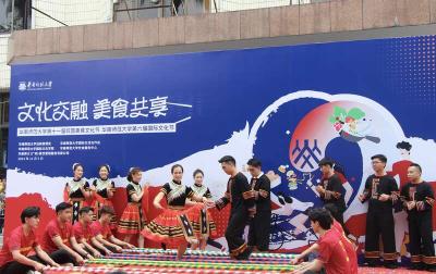 【热点关注】华南师范大学举行第六届国际文化节