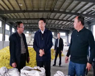 罗兴斌学习践行“四下基层”优良传统，以“四不两直”方式到武安镇开展调研