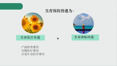 医保生育政策一览表