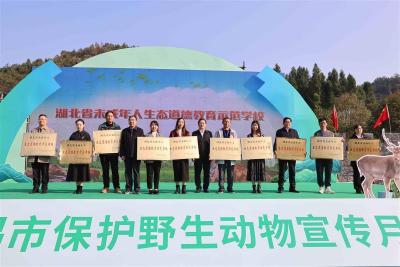 【热点关注】10所学校荣获“湖北省未成年人生态道德教育示范学校”称号