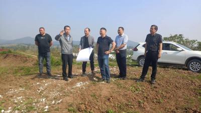 南漳县优化营商环境：优先盘活存量土地 助力项目高速发展              