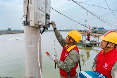 【热点关注】武汉经开区：供电保障助螃蟹丰收