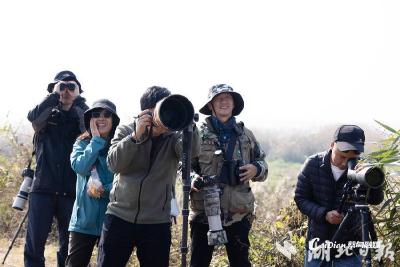 【热点关注】5小时116种！ 武汉市林业系统首届观鸟竞赛在沉湖湿地举办