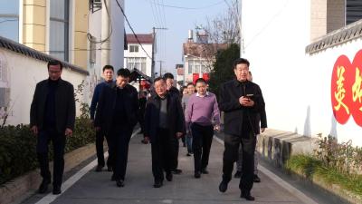 省委政法委领导到我县调研平安建设工作