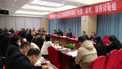 罗兴斌参加政协南漳县第十一届委员会第三次会议分组讨论