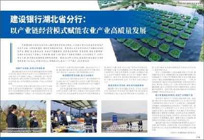 【热点关注】建设银行湖北省分行：以产业链经营模式赋能农业产业高质量发展