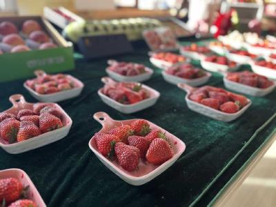 【热点关注】北京昌平上线“疯狂草莓季”冬季旅游线路