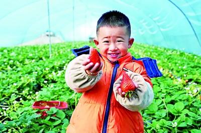 【热点关注】陕西省汉中市徐家坪社区：果园中的“欢声笑语”