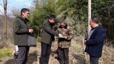 精准细分土地指标  助推抽蓄项目建设换挡提速