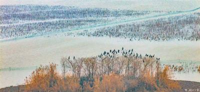【热点关注】菱角湖国家湿地公园百鸟翔集