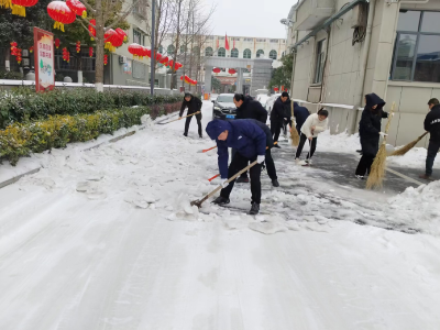 县人大常委会机关组织干部扫雪保畅通