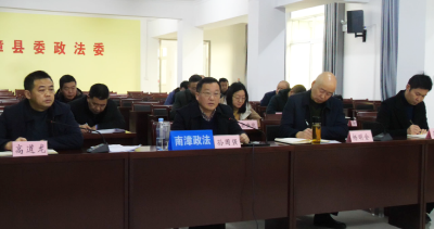 全县平安稳定工作视频调度会召开  