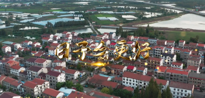 《日子会更好》