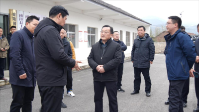 县领导调研乡村振兴工作