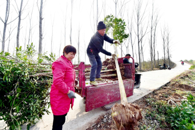 湖北南漳：春回大地 植树造绿