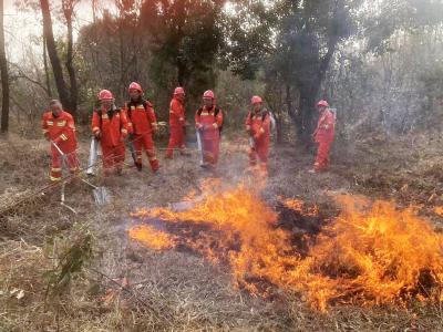 国有七里山林场：加强培训演练　防火于未“燃”