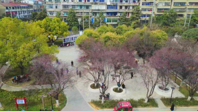 转角遇见春天  口袋公园让城市绿意盎然