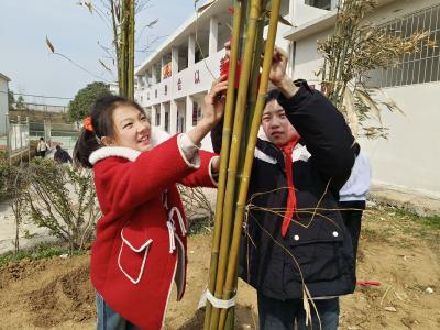 临沮小学：红书签，我与小树共成长