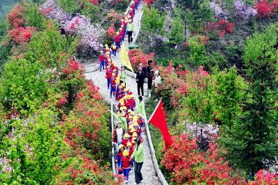 湖北南漳：杜鹃园成为孩子们的乐园
