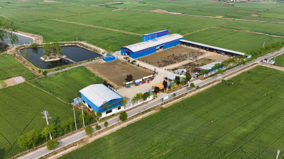湖北南漳：水稻育秧机械化 提质增效“加速度”