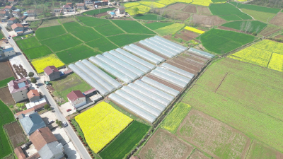 湖北南漳：大棚育苗管理忙 新品种孕育新希望