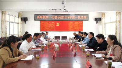 部分市、县人大代表参加长坪镇第一代表小组活动              