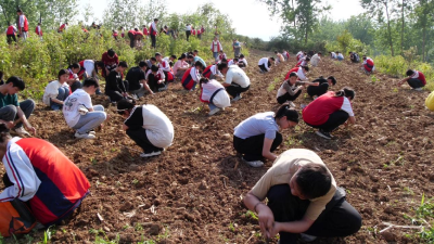 城关镇胡营中学开展“科学种植  乐享自然”劳动实践活动