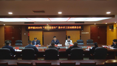 薛坪镇 2024 年“项目建设年”集中开工活动联席会议召开