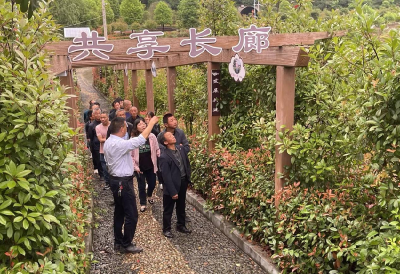 湖北南漳：交流学习促提升 携手前行谋振兴