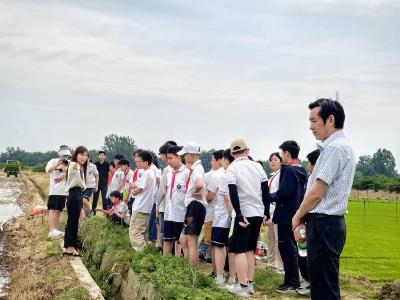 县卞和小学：乐享农耕迎“六一”