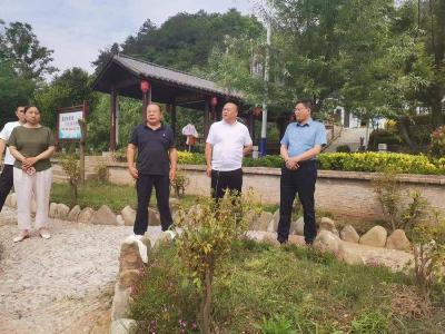 县领导到东巩镇调研指导委员履职工作
