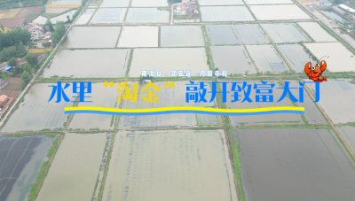 湖北南漳：水里“淘金” 敲开致富大门