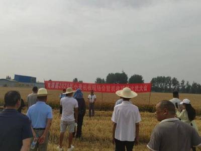 我县召开小麦机收现场会暨机收减损比武大会