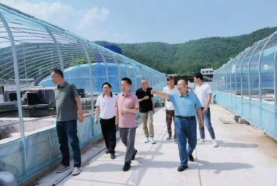 市农业农村局调研组到我县调研现代渔业绿色发展工作