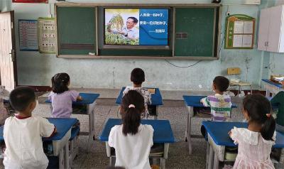 临沮小学：学习好榜样 争做好少年