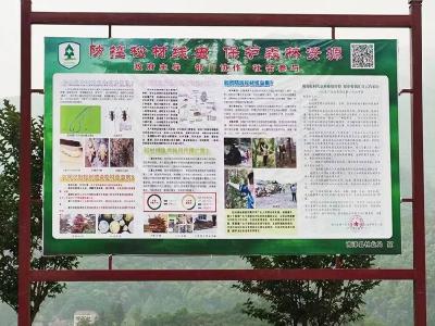 县森防站：加强科普知识宣传　助力松材线虫疫情防控攻坚行动